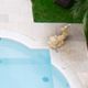 Italy Accommodation Villa l'Andana