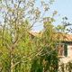 Gourmet Accommodation in Tuscany