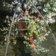 Gourmet Accommodation in Tuscany